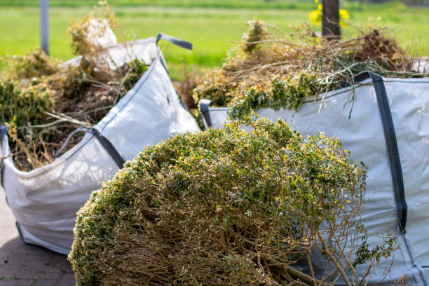 Shed Removal in Ridge Manor, FL